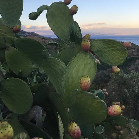 Bed and Breakfast Pietra Luce